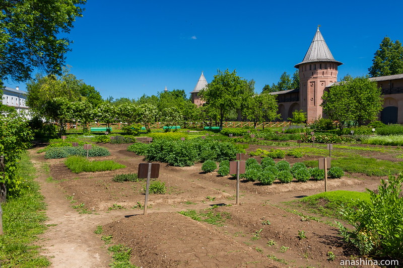 Аптекарский огород, Спасо-Евфимиев монастырь, Суздаль