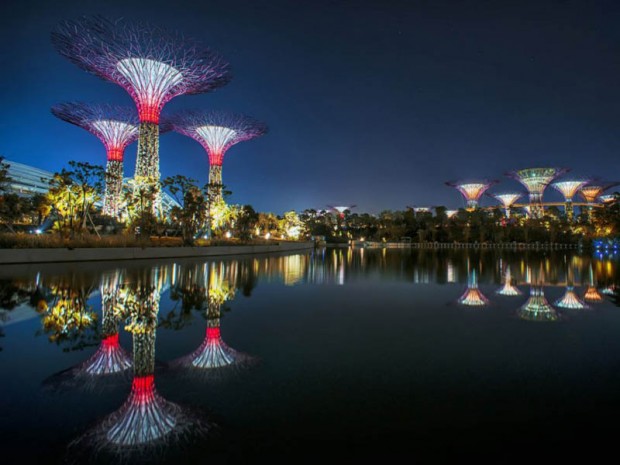 Необычные деревья в Сингапуре