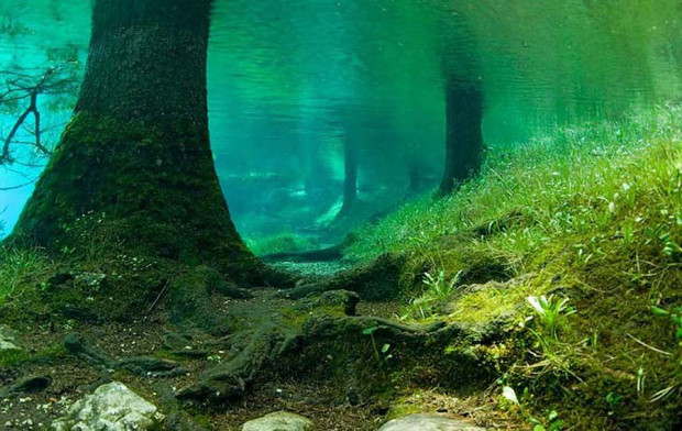 подводный парк