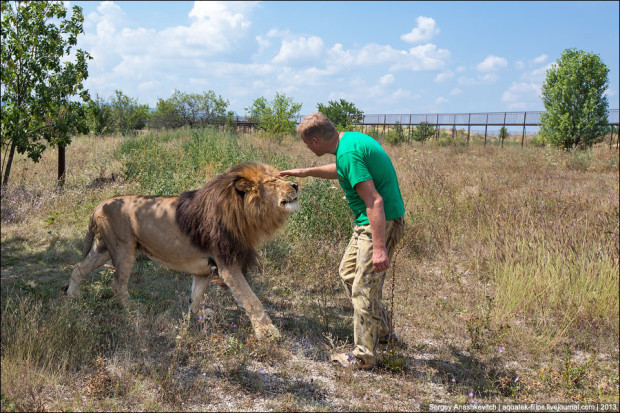 Львиный парк в Крыму