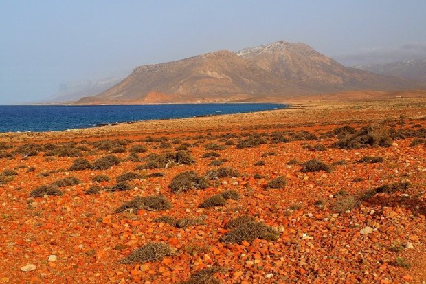 Socotra17