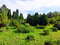 Ботанический сад в Уфе