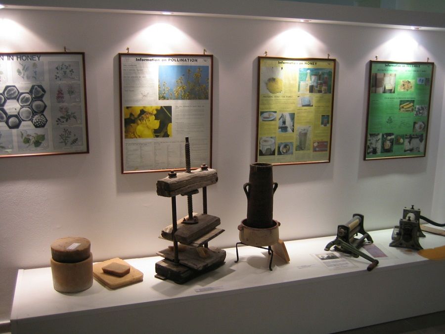 Фотография экспонатов в Музее пчеловодства в Башкирии