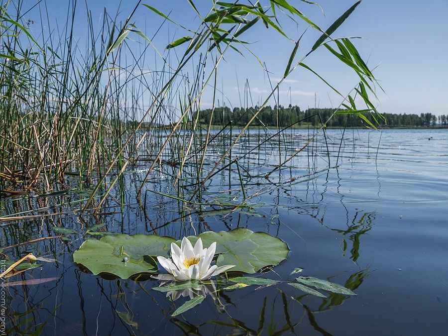 Озеро Карагайкуль фото Башкортостана