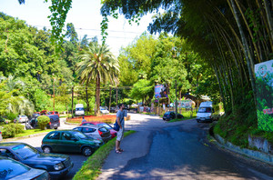  Посещение Ботанического сада в Батуми