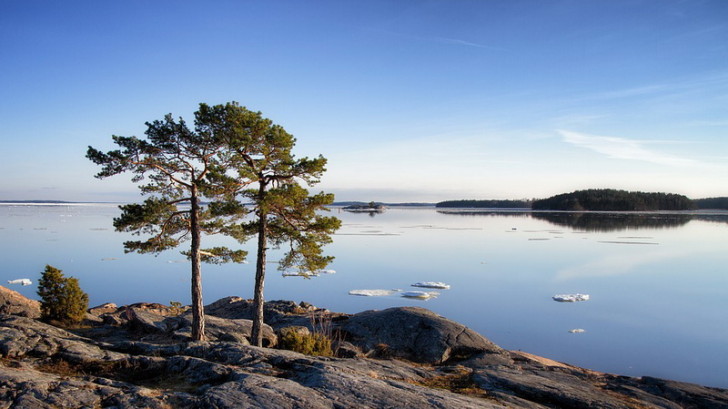 Деревья, озеро, Финляндия