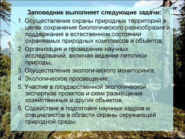 Баргузинский заповедник. Где находится, климат, природная зона, озера, животные, фото