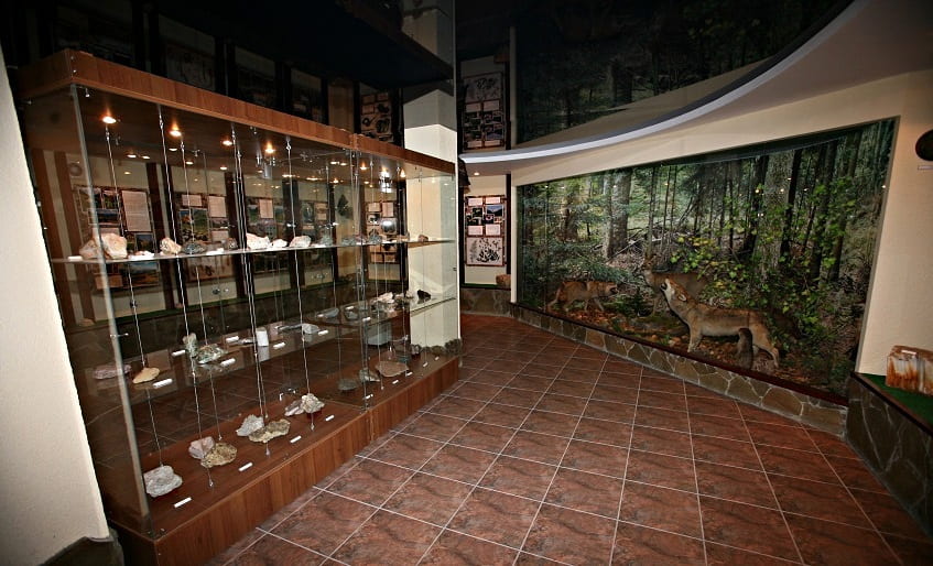 Музей природы в Сочи - фото