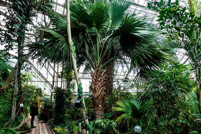 Ботанический сад в Томске