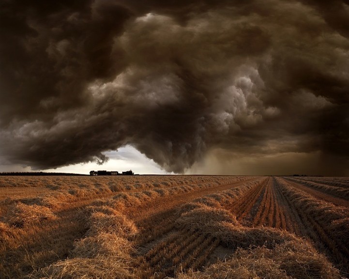 буря на поле