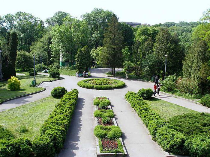 Ботанический сад Ростова-на-Дону зимой